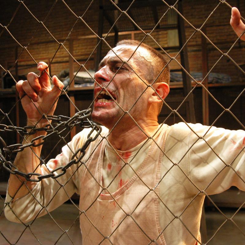 de Georg Büchner, dirigida por Emilio García Wehbi. Con Maricel Alva-rez, Guillermo Angelelli, Blas Arrese Igor, Cecilia Candia, Eva Carrizo Villar, León Dogodni, Ricardo Félix, Federico Figueroa, Ezequiel Finger, Norberto Laino, Fernando Llosa, Horacio Marassi, Muriel Santa Ana.
Sala Casacuberta
