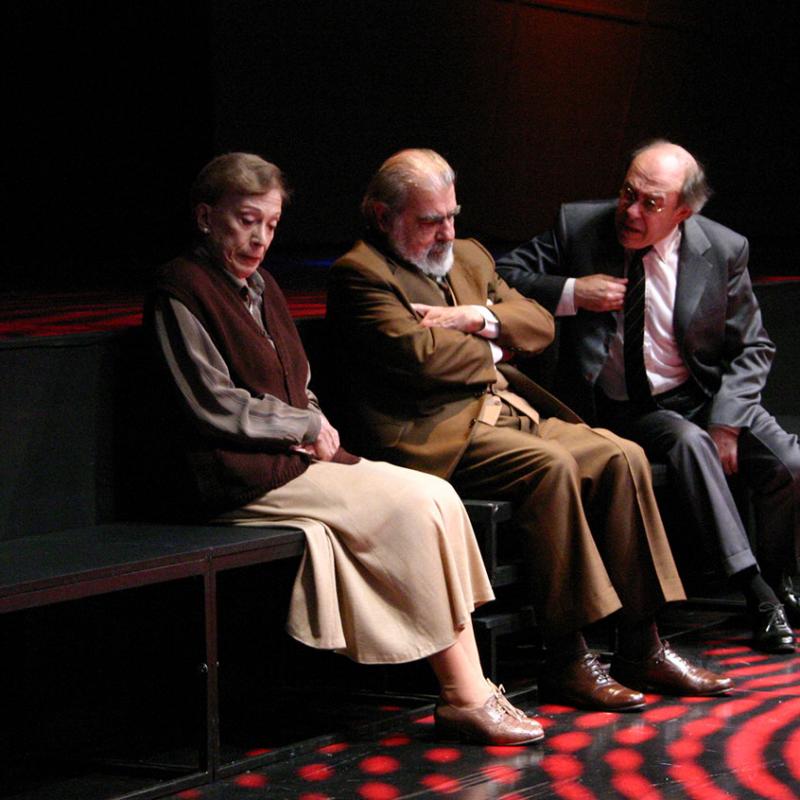 de Michael Frayn, dirigida por Carlos Gandolfo. Con Alicia Berdaxagar, Juan Carlos Gené, Alberto Segado.
Sala Casacuberta
