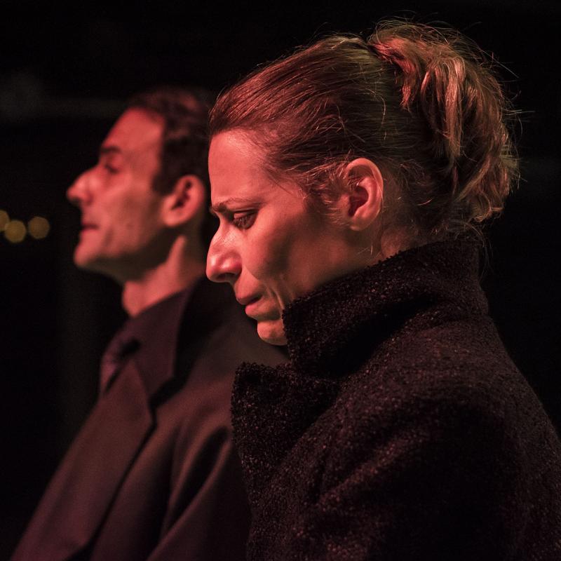 de Juan Mayorga, dirigido por Laura Yusem. Con Elena Roger, Mario Alarcón, Horacio Acosta, Gustavo Pardi, Ana Yovino y Jazmín Diz. 
Sala Cunill Cabanellas