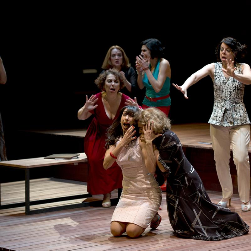 de Santiago Loza, dirigido por Alejandro Tantanian. Con Mirta Busnelli, María Onetto, Analía Couceyro, Stella Galazzi, Maricel Álvarez, Gaby Ferrero, María Inés Sancerni, Eugenia Alonso, Paula Kohan, Santiago Gamardo. 
Sala Casacuberta 
