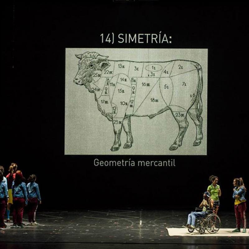 Con el Proyecto Pruebas, la Compañía Buenos Aires Escénica desarrolla investigaciones y reflexiones relacionadas con la percepción, los modelos de representación, los procedimientos escénicos, las convenciones y el lenguaje. Proyecto Pruebas funciona como un laboratorio permanente. Nos interesa generar cruces, ser una usina, una plataforma para que diferentes artistas se sumen a nuestra investigación y proyecto.