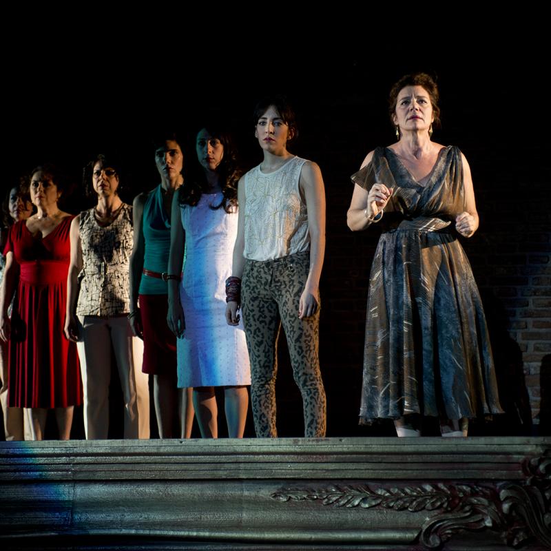 de Santiago Loza, dirigido por Alejandro Tantanian. Con Mirta Busnelli, María Onetto, Analía Couceyro, Stella Galazzi, Maricel Álvarez, Gaby Ferrero, María Inés Sancerni, Eugenia Alonso, Paula Kohan, Santiago Gamardo. 
Sala Casacuberta 
